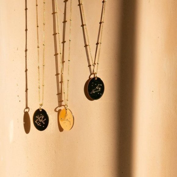 Leo Minimalist Zodiac Charm Oval Disc Necklace - Picture 4 of 11